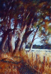 LANDSCAPES
